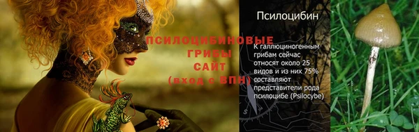 амф Алексеевка